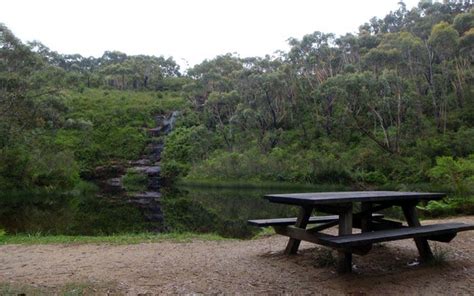 Ingar Campground In Blue Mountains National Park Nsw With Images