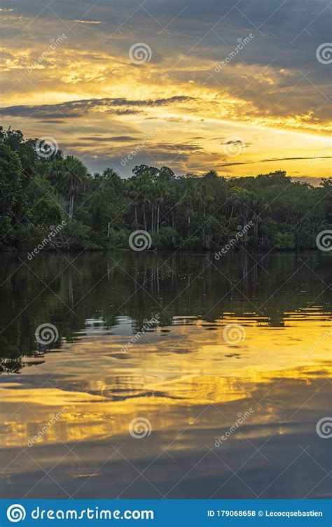 Amazon Rainforest Sunset Yasuni Ecuador Stock Photo Image Of