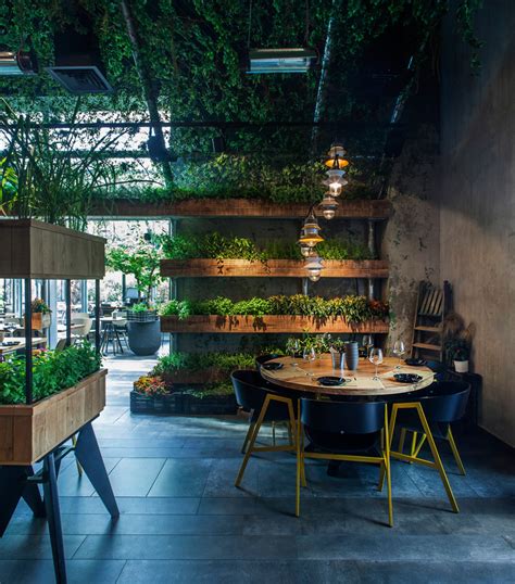 Modern garden designs are very different from their classic formal counterparts. The Plants In This Restaurant Are Herbs That The Chef Uses ...