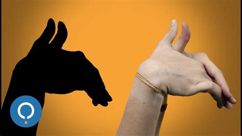 Aprenda a fazer sombras de animais com as mãos YouTube