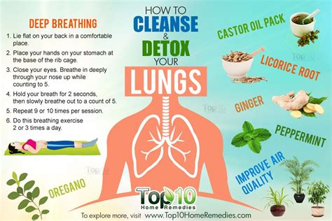 Detoxify Your Lungs Oxygenate Your Body And Feed Your Body Clean Air