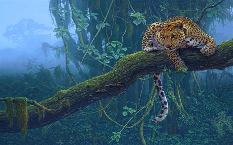 Nature Trees Jungle Leopards Wallpapers Hd Desktop And Mobile