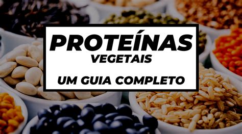 Um Guia Completo Sobre Fontes De Proteínas Vegetais Plantz