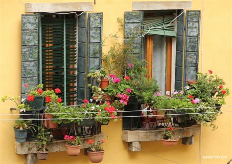 See more ideas about italian flowers, flowers, italy. Flower Box Shutters Venice Window - wandertoes