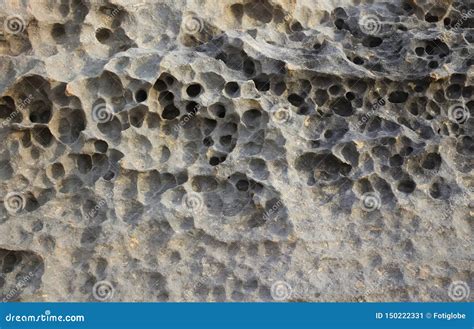 Natural Rock Texture Of Limestone With Little Holes Stock Image