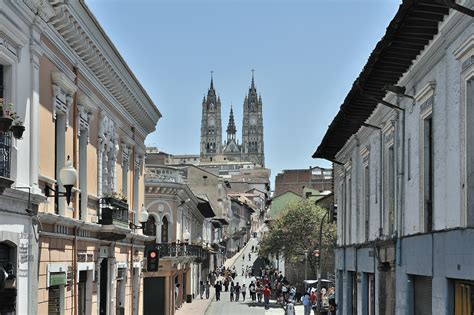 Dirección nacional de educación y formación cívica ciudadana. Basilica del Voto Nacional: Iguanas Instead Of Saints ...