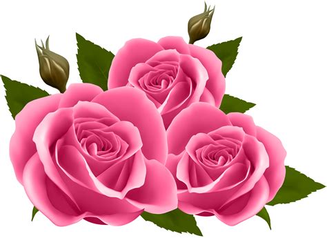 Free Pink Roses Clipart Download Free Pink Roses Clipart Png Images