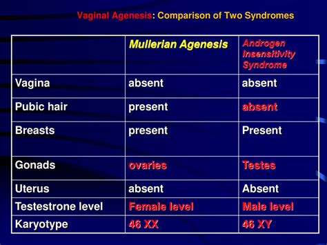 Mullerian Agenesis Vs Androgen Insensitivity