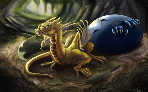 DraGon - Dragons Photo (34261254) - Fanpop