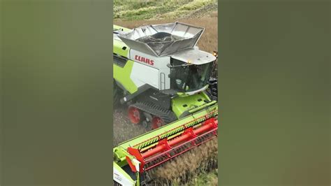 Claas Lexion 8900 On Duty In The Field Harvesting Canola Youtube