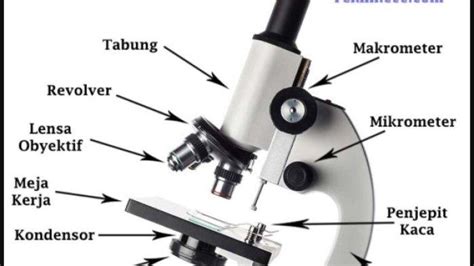 14 Bagian Mikroskop Dan Cara Menggunakannya Materi Belajar Biologi
