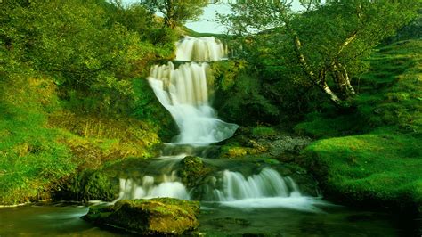 3d Moving Wallpapers Of Nature 50 Free Waterfall Screensavers And