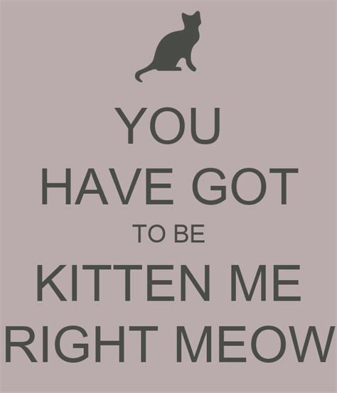 You Have Got To Be Kitten Me Right Meow Poster Iamme10 Keep Calm O Matic