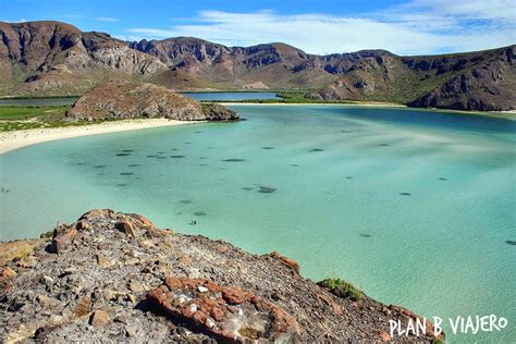 Unfortunately, cattle ranging and unregulated hunting have taken its toll on much of this. Baja California Sur, siete lugares para visitar - Plan B ...