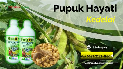 Makalah teknologi te knologi produksi agen hayati keunggulan jamur beauveria bassiana berkembang di dalam tubuh serangga! HAYATI, O823*2292*499O Jual pupuk tanaman kedelai di ...