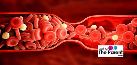 Blood Clot During Pregnancy Being The Parent