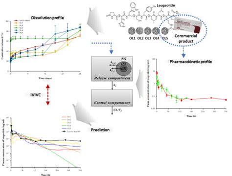 Pharmaceutics Free Full Text Development Of Level A In Vitrovivo