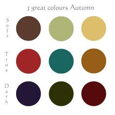 Soft Autumn Seasonal Color Palette | Soft autumn, Autumn and Autumn ...
