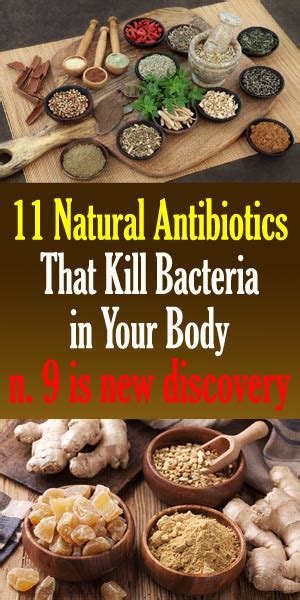 11 Natural Antibiotics That Kill Bacteria In Your Body