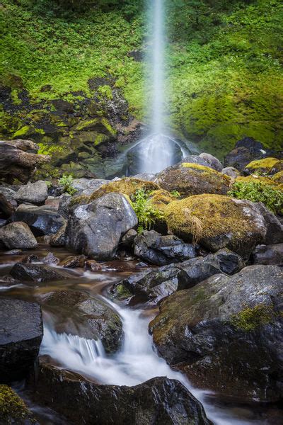Elowah Falls In The Columbia River Gorge Oregon Usa Picture Art