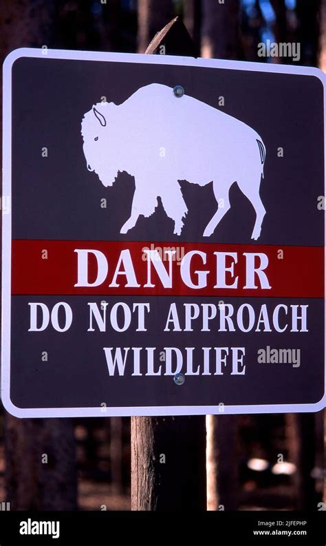Wildlife Warning Sign Stock Photo Alamy