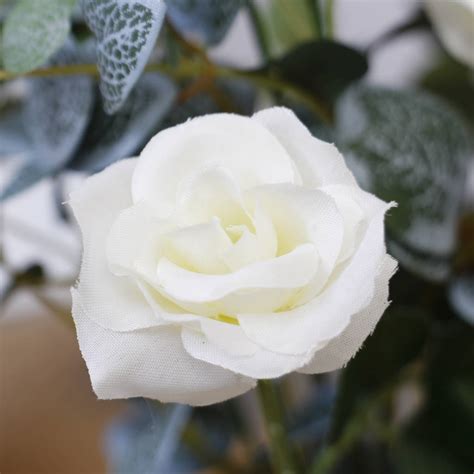 Check spelling or type a new query. summer days white rose dried flower display vase by dibor ...