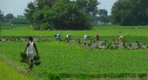 Mar 31, 2021 · niti aayog has released a report titled 'investment opportunities in india's healthcare sector'. Agriculture sector may grow at 3.1% in 2019-20: NITI Aayog ...