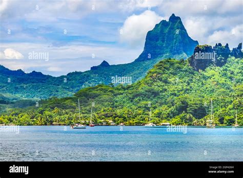 Tahiti French Polynesia Vegetation Hi Res Stock Photography And Images