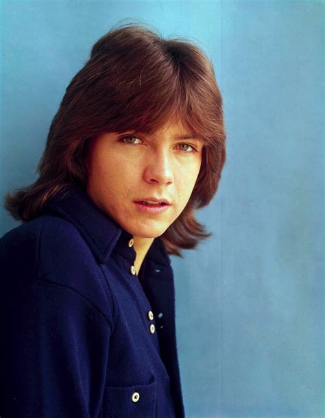 Remembering David Cassidy 1950 To 2017