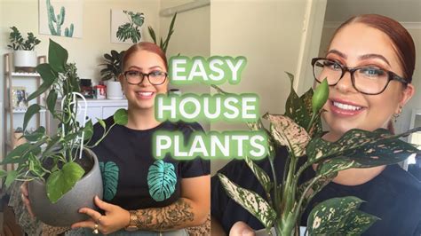 5 Best Indoor Plants For Beginners L Easy Care Houseplants L Moriah