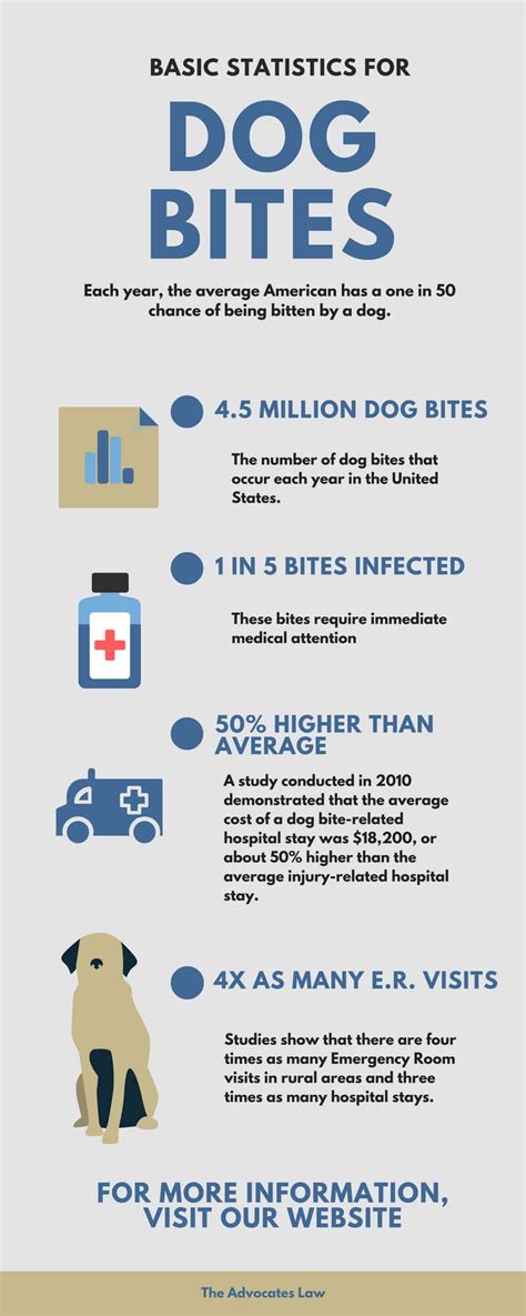 Infographic Dog Bite Statistics