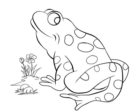 Cartoon frog catching fly coloring page. Save The Frogs Colouring Competition | The Lakes Hub