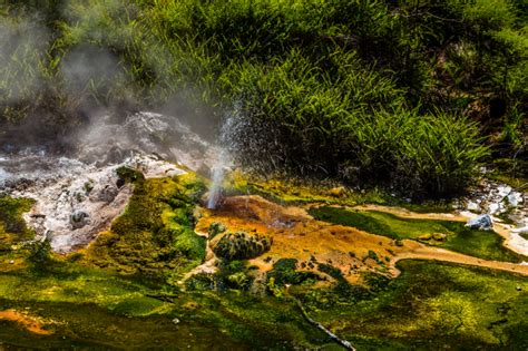 Waimangu Volcanic Valley With The Largest Hot Spring In The World