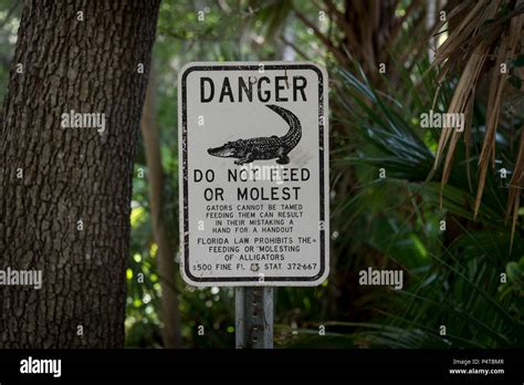 Do Not Feed The Alligators Sign Stock Photo Alamy