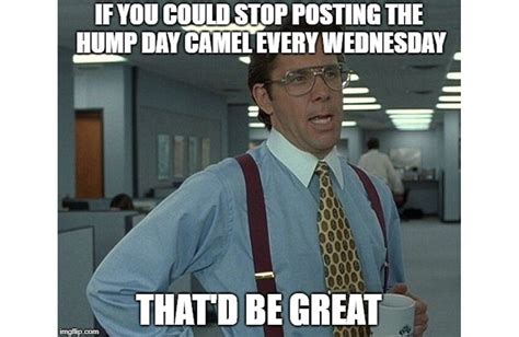 The Best Hump Day Memes