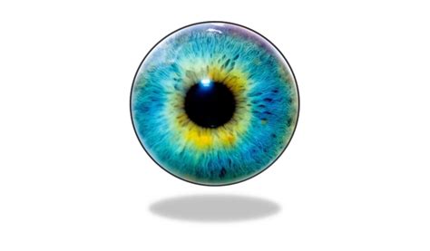 Eye Lens PNG Image PNG All PNG All