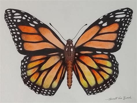 Monarch Butterfly Painting By Van Bunch
