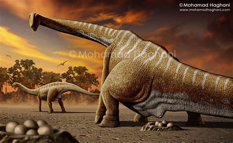 For this, she will need separate bones. Apatosaurus. 2D Digital Painting, 2012 | Prehistoric animals, Nest art, Prehistoric wildlife