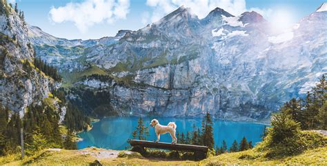 Things to do Interlaken: Discover the most beautiful Swiss Alpine Lakes