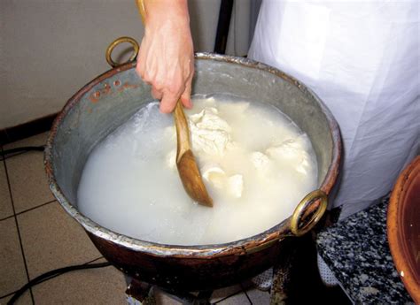 Uno tra i prodotti caseari per eccellenza. Formaggio fatto in casa, come fare un formaggio fresco