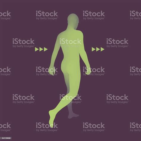 Walking Man 3d Human Body Model Design Element Vector Illustration
