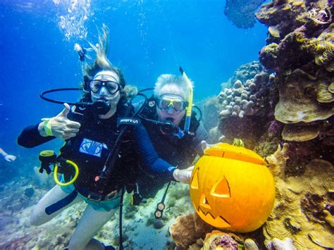 Halloween Scuba Diving Passion Paradise Adventures