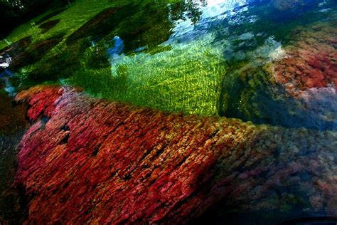 Check spelling or type a new query. Caño Cristales, Colombia | Flickr - Photo Sharing!