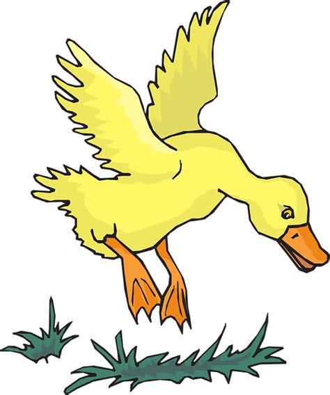 Duck Bird Flying · Free Vector Graphic On Pixabay