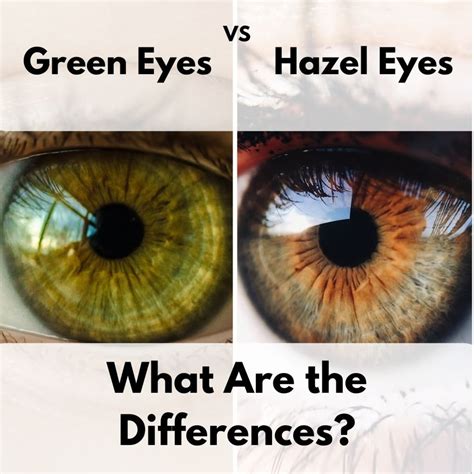 There may even be times that their eyes are way different than others. The Difference Between Green and Hazel Eyes - Owlcation ...