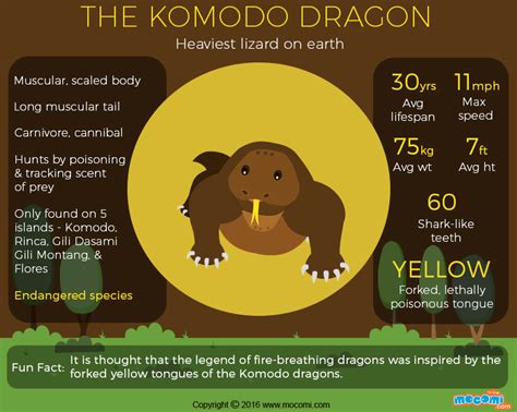 7 Interesting Facts About The Komodo Dragons Indoindians Com Gambaran