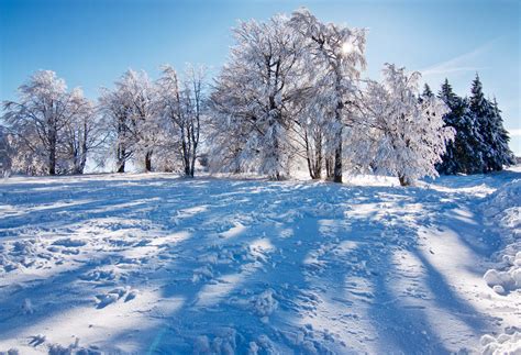 Sunny Snow Landscape Winter Trees With Shadows Photohdx