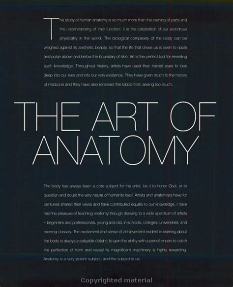 Anatomy References For Artists