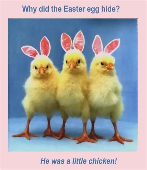 Happy Easter Funny Images 2024 Binny Noelyn