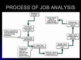 Images of Data Analysis Job Description